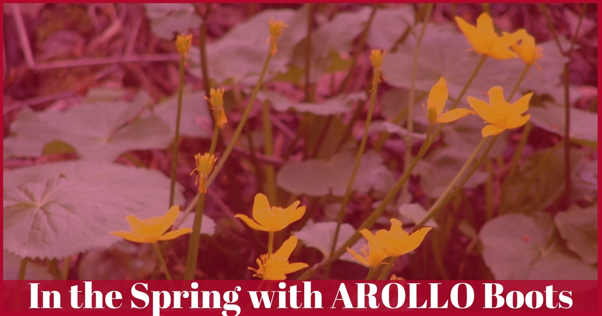 In the Spring with AROLLO Boots